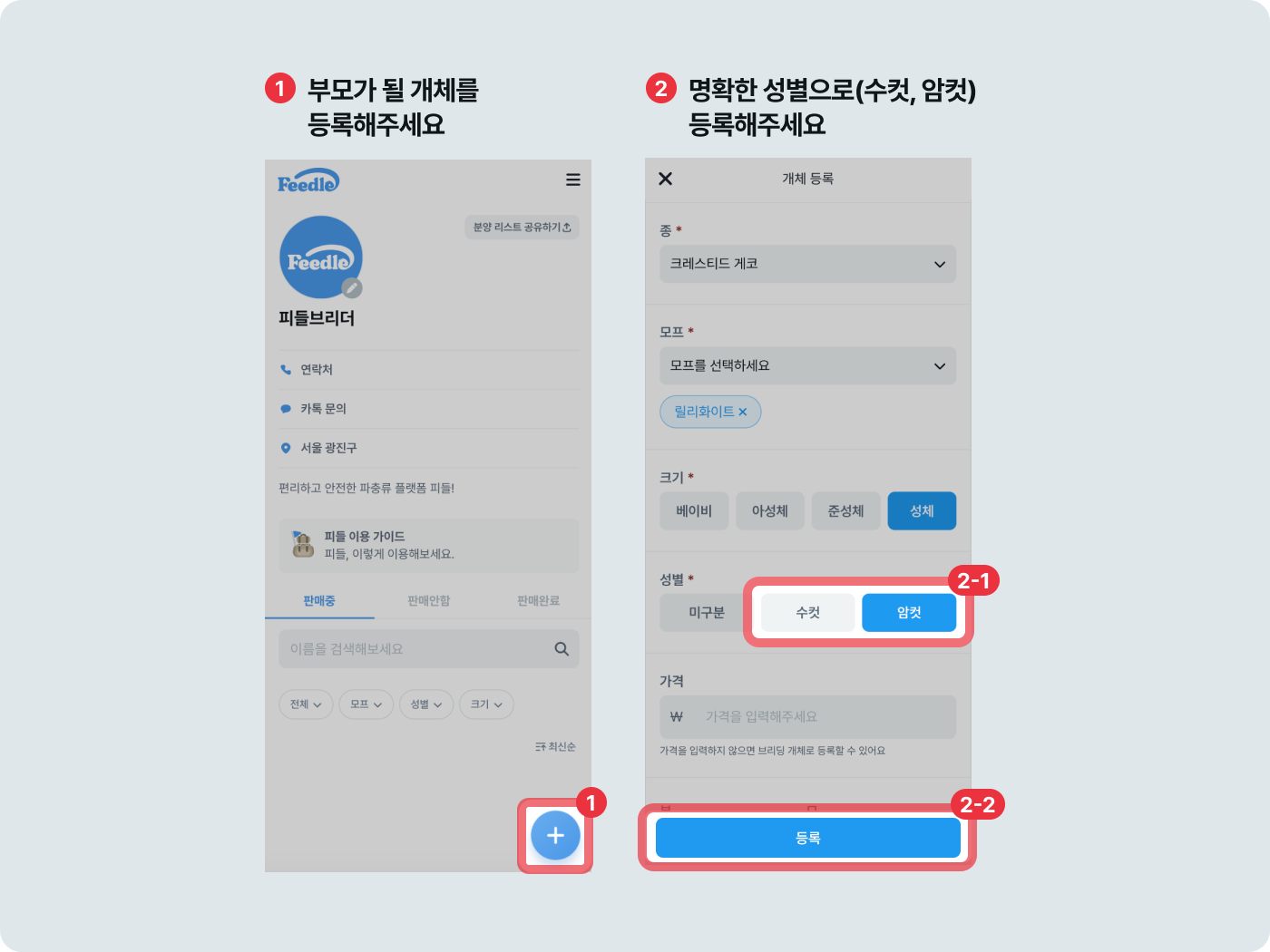 부모 개체 등록