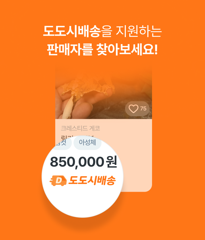 도도시배송을 지원하는 판매자를 찾아보세요!